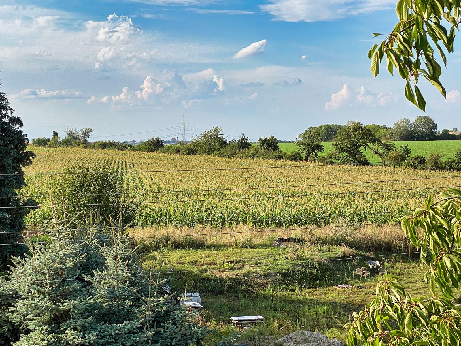 Ausblick Richtung Strehla