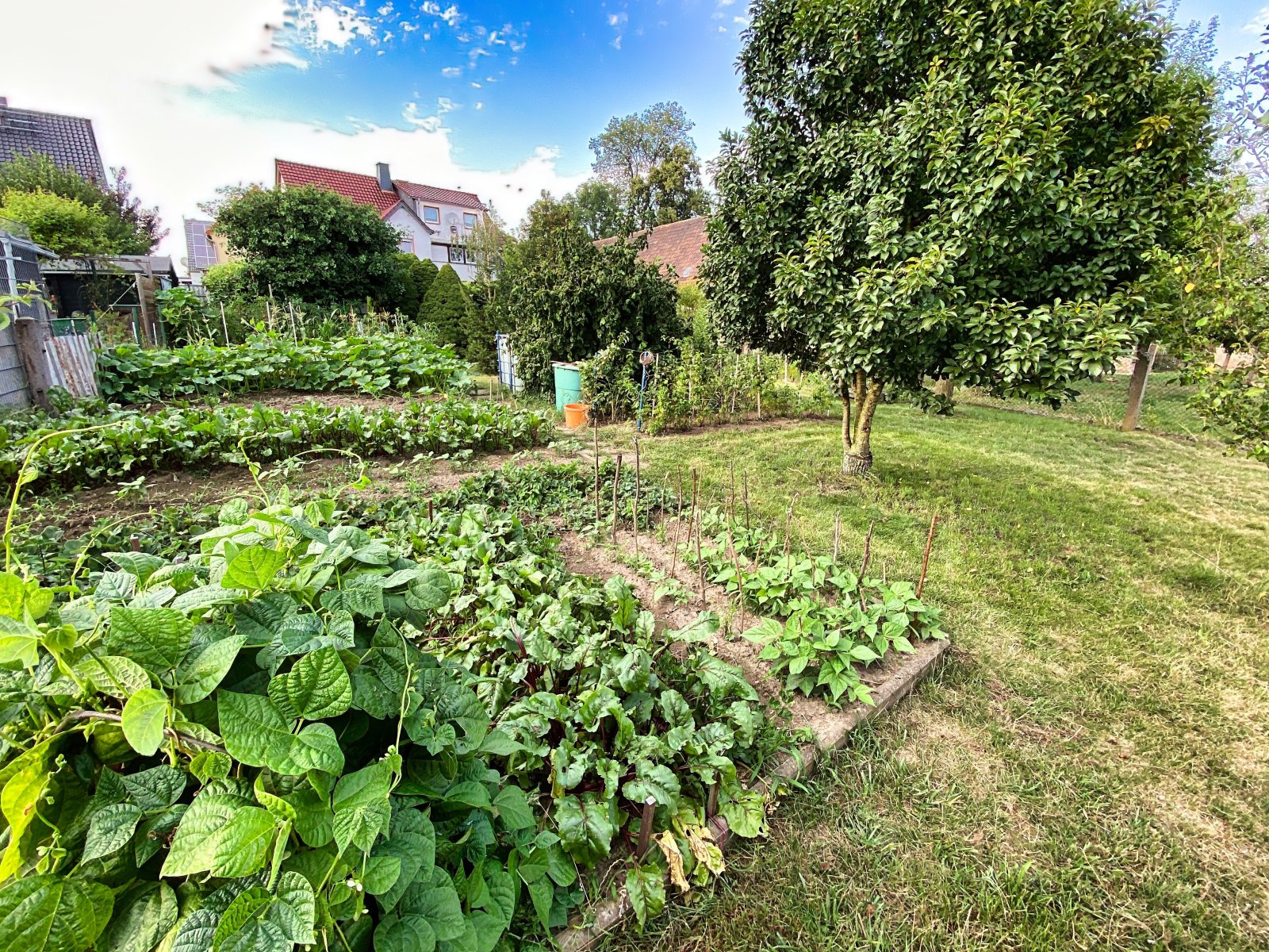 Gartengrundstück 